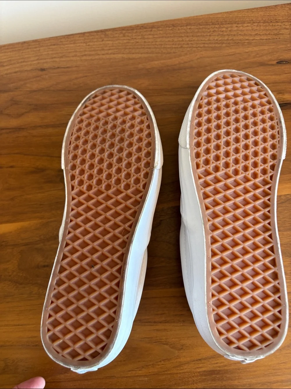 Vans iconic slip